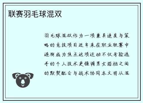 联赛羽毛球混双