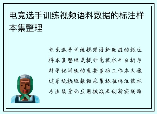 电竞选手训练视频语料数据的标注样本集整理